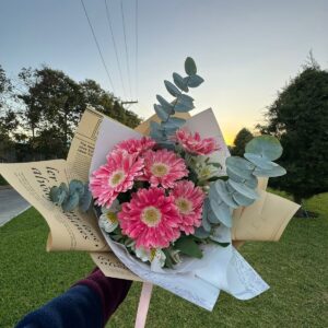 Gerberas